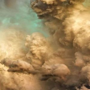 Meet your Posher, Beverly